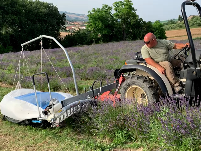 Lavendelerntemaschine für Lavendel wirtschaft