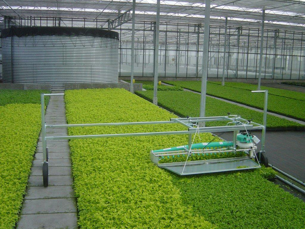 Harvesting herbs with an EazyCut trimming machine in a frame