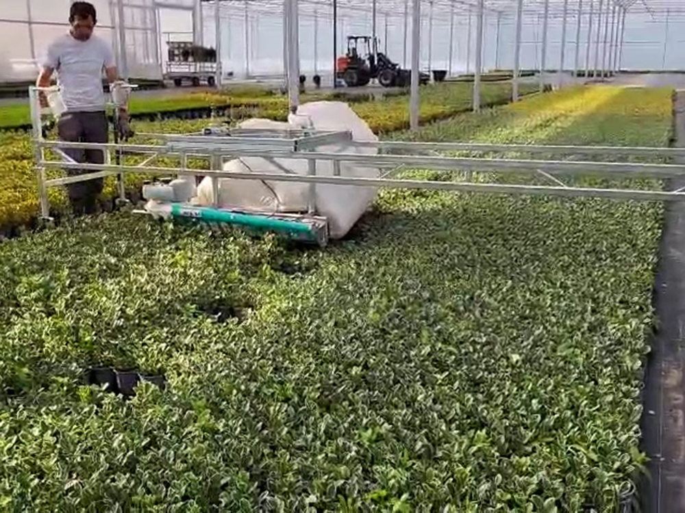 Uniform trimming with a frame