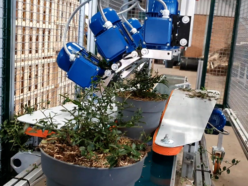 Trimming Plants