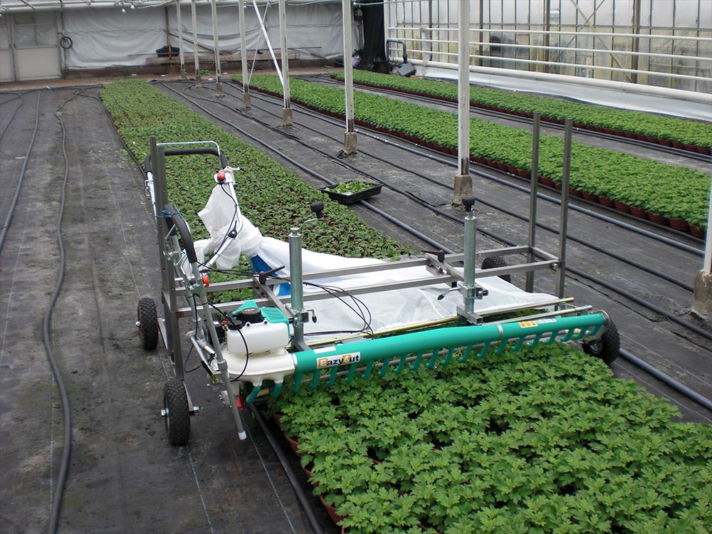 Pruning young plants in pots with EazyCut trimming machine with a frame