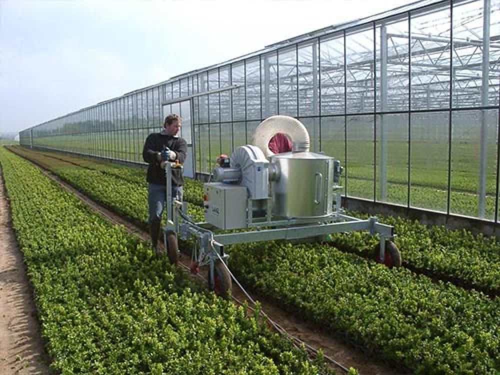 plant nursery on frame