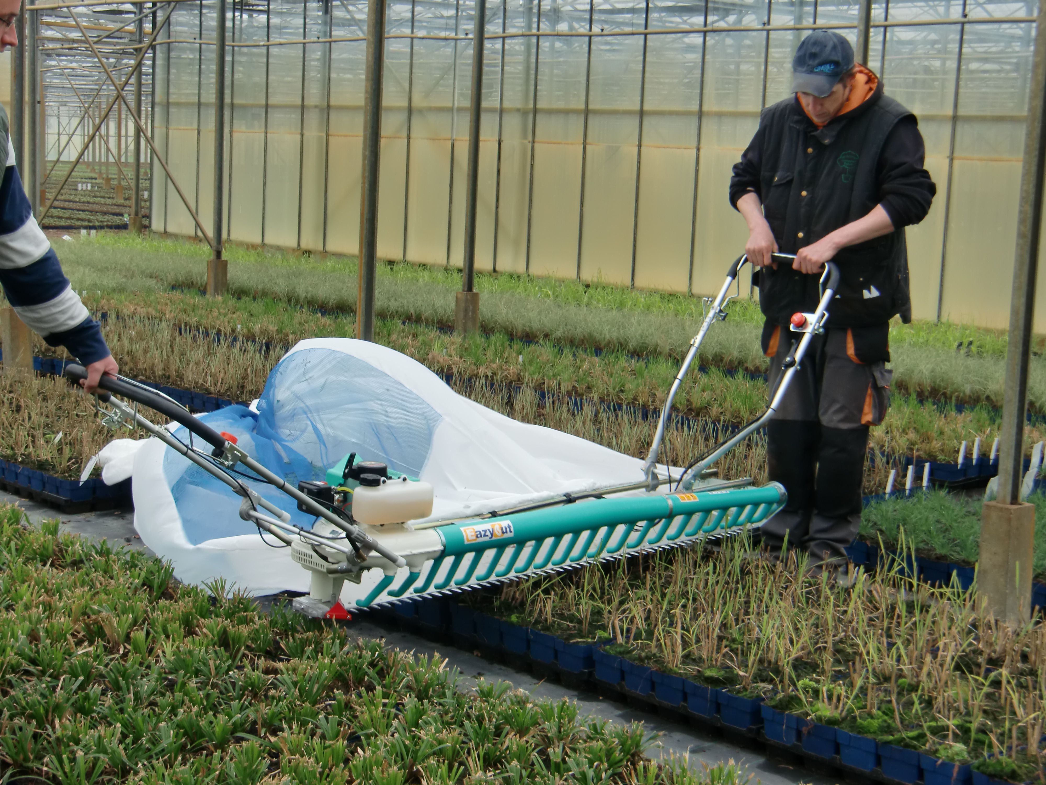 harvesting machine herbs