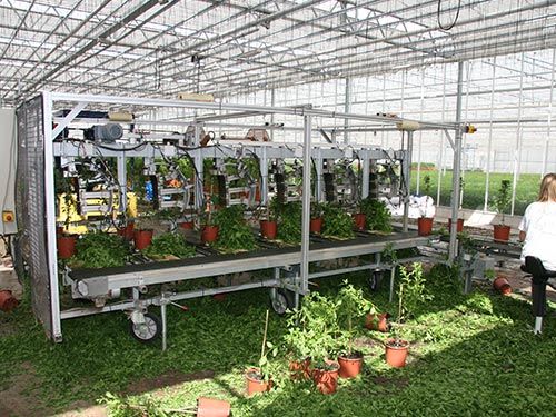 Lanz form trimming system