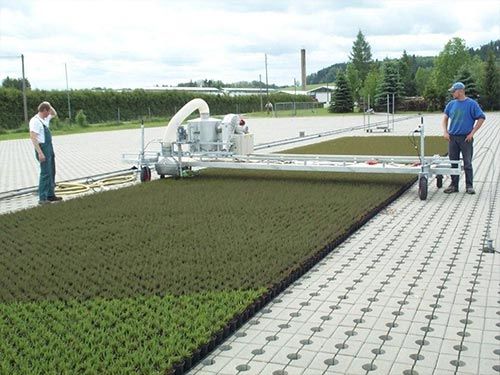 Herbal pruning machine