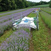 EazyCurve lavender harvester