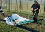 harvesting machine herbs