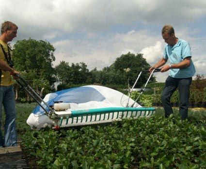 Harvesting machine lettuce